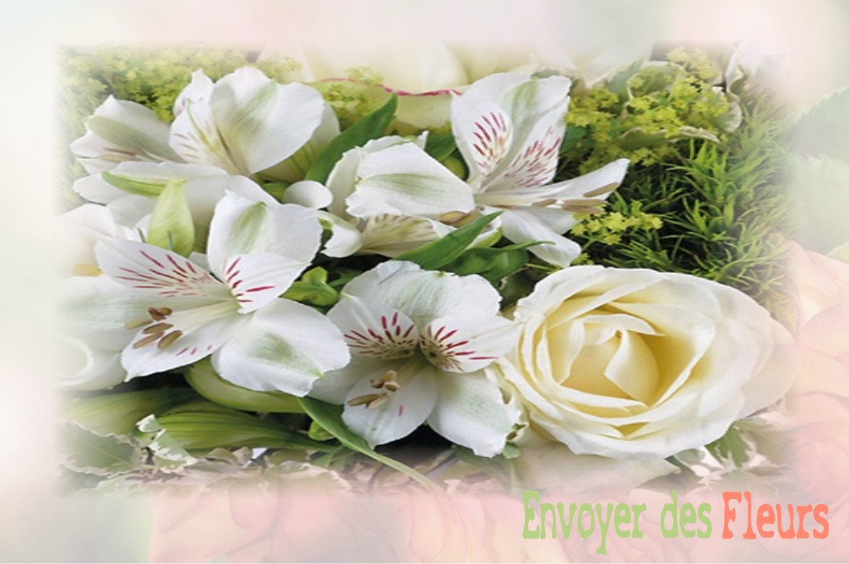 envoyer des fleurs à à SAINT-JEAN-DE-LA-NEUVILLE